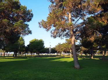 Residencia Nuestra Señora de los Ángeles jardin2